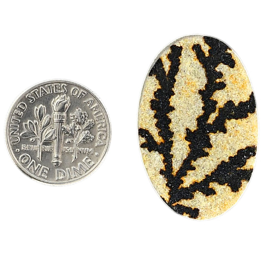 Germany Psilomelane Dendrite 20x30.3x6 mm Oval Shape Polished Gemstone LS111-06211