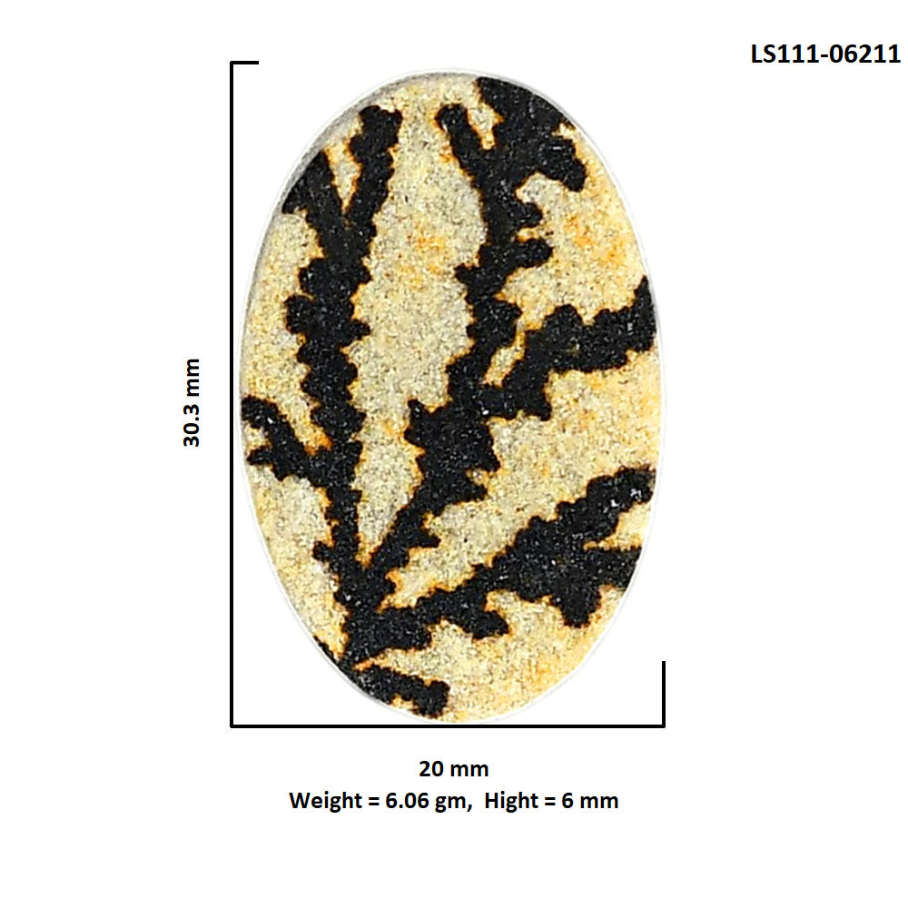 Germany Psilomelane Dendrite 20x30.3x6 mm Oval Shape Polished Gemstone LS111-06211