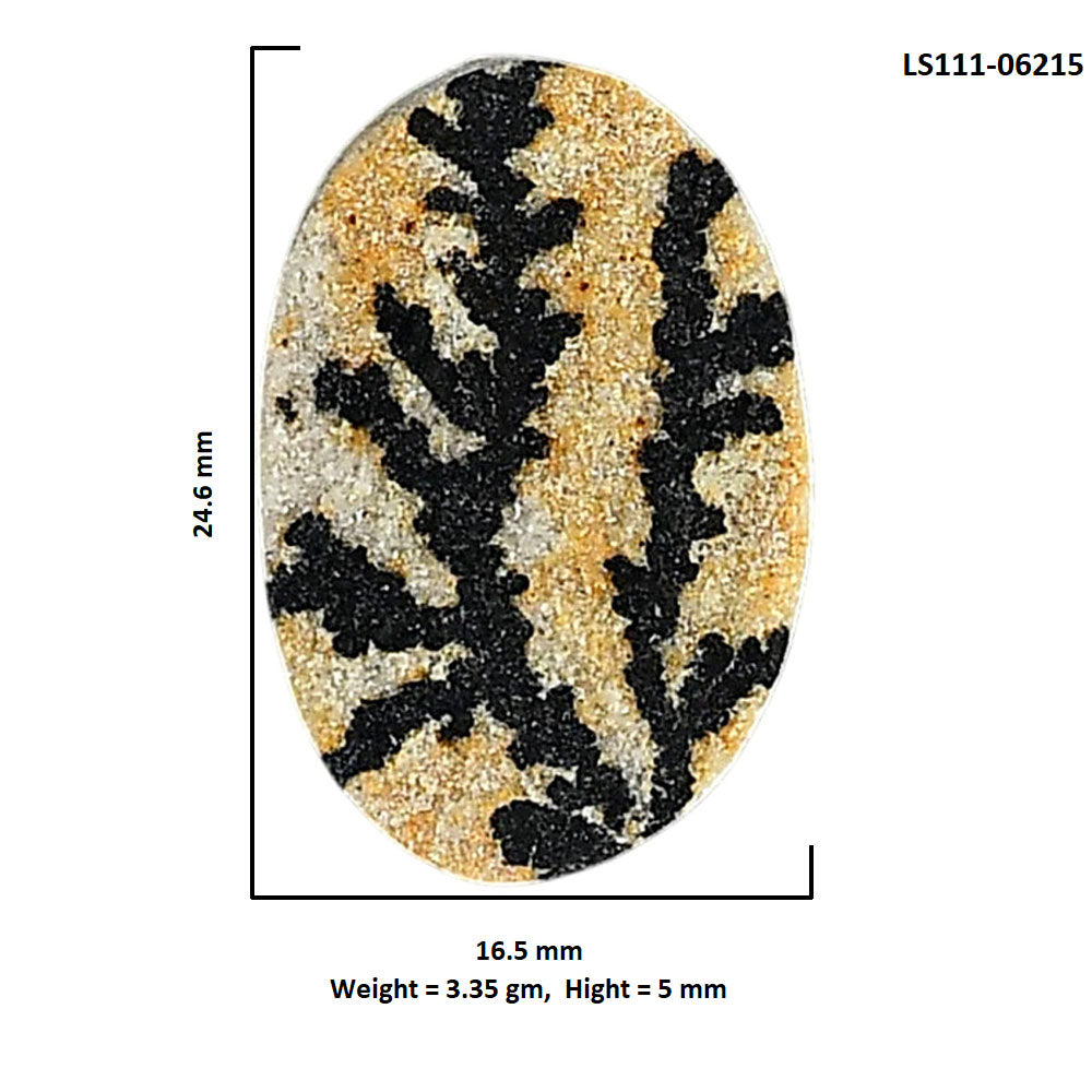 Germany Psilomelane Dendrite 16.5x24.6x5 mm Oval Shape Polished Gemstone LS111-06215
