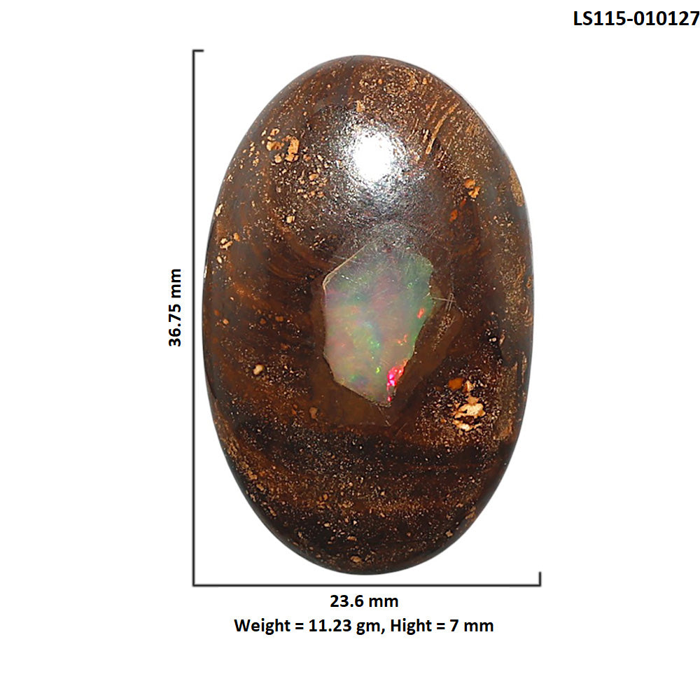 Natural Boulder Opal 23.6x36.75x7 mm Oval Shape Polished Gemstone LS115-010127