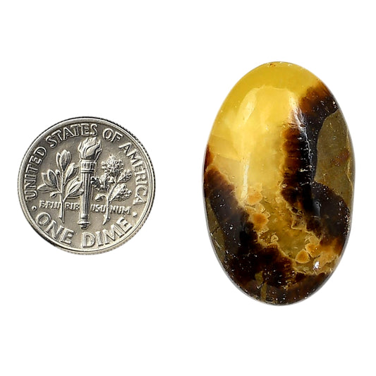 Septarian Dragon Stone 19.8x31.7x6.5 mm Oval Shape Polished Gemstone LS119-06380