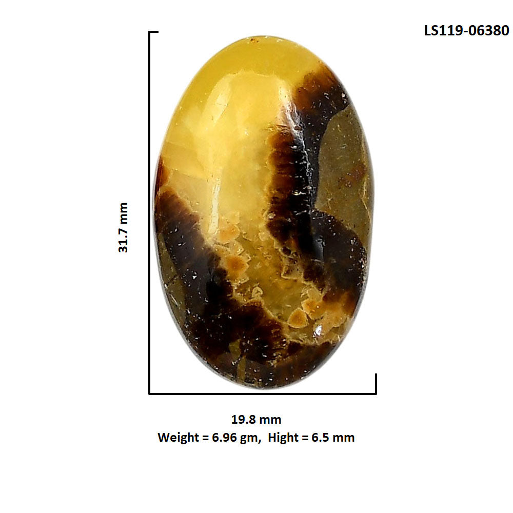 Septarian Dragon Stone 19.8x31.7x6.5 mm Oval Shape Polished Gemstone LS119-06380