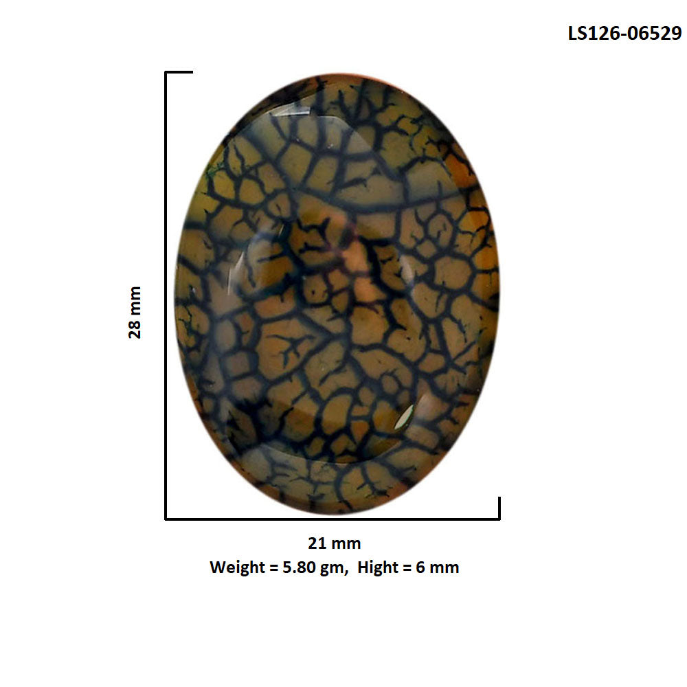 Dragon Vein Agate 21x28x6 mm Oval Shape Polished Gemstone LS126-06529