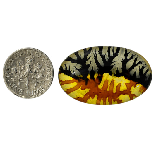 Dendritic Agate Doublet 20.55x32.8x7 mm Oval Shape Polished Gemstone LS127-06538