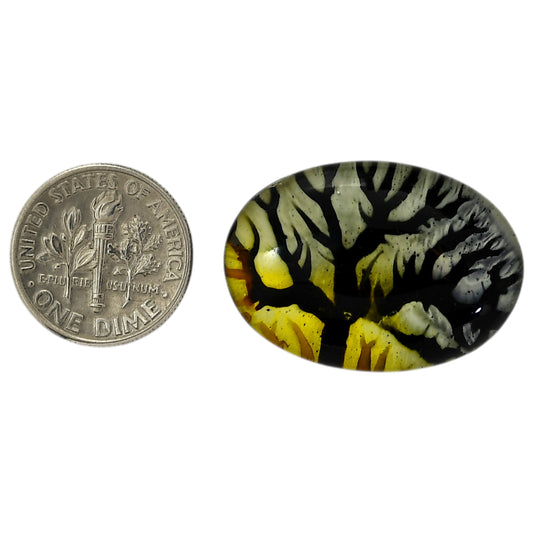 Dendritic Agate Doublet 20.3x29x7.3 mm Oval Shape Polished Gemstone LS127-06543