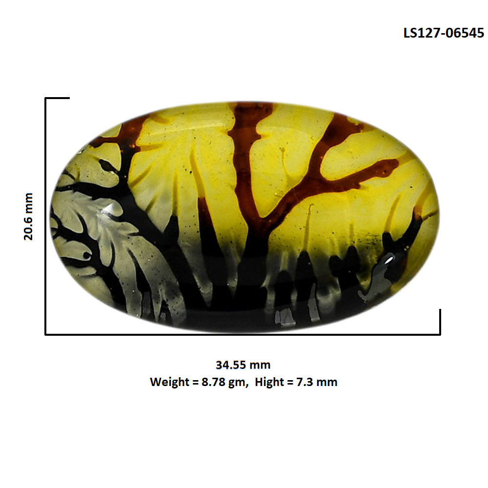 Dendritic Agate Doublet 20.6x34.55x7.3 mm Oval Shape Polished Gemstone LS127-06545