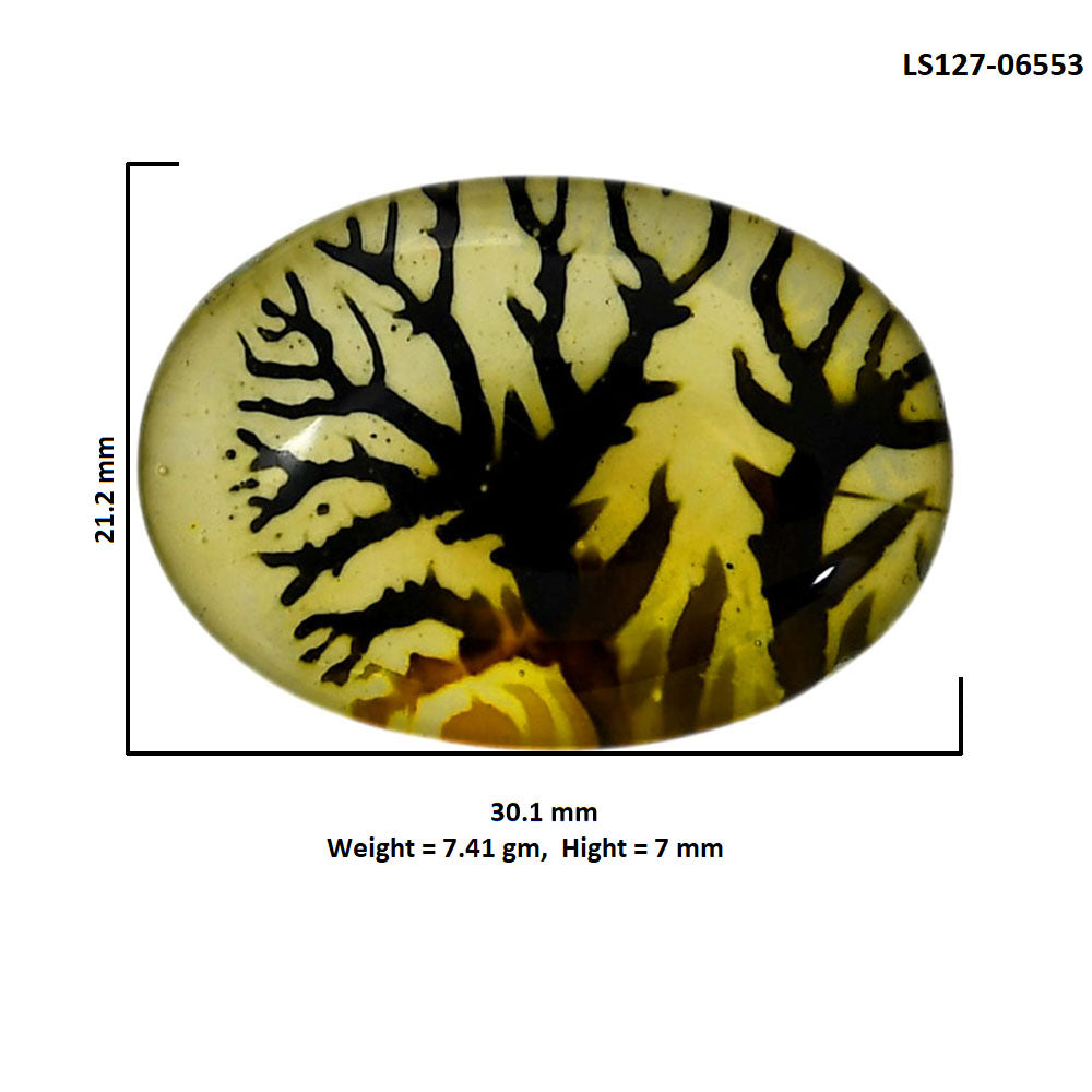 Dendritic Agate Doublet 21.2x30.1x7 mm Oval Shape Polished Gemstone LS127-06553