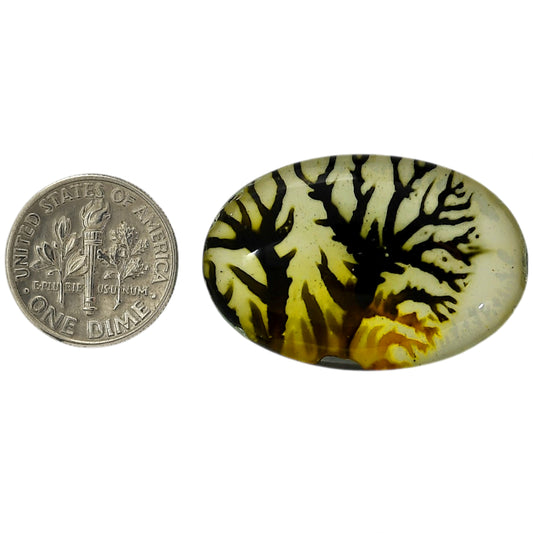 Dendritic Agate Doublet 22.15x32.25x7.5 mm Oval Shape Polished Gemstone LS127-06554