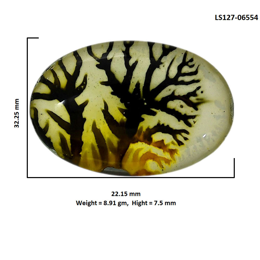 Dendritic Agate Doublet 22.15x32.25x7.5 mm Oval Shape Polished Gemstone LS127-06554