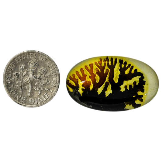 Dendritic Agate Doublet 17.3x29x7 mm Oval Shape Polished Gemstone LS127-06555