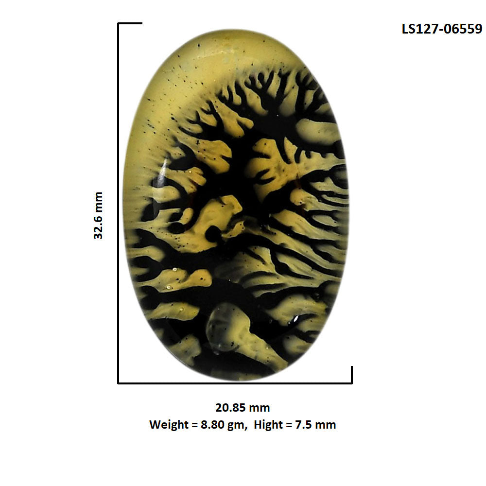 Dendritic Agate Doublet 20.85x32.6x7.5 mm Oval Shape Polished Gemstone LS127-06559