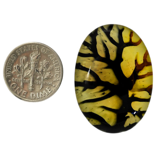 Dendritic Agate Doublet 23.15x32.2x7.3 mm Oval Shape Polished Gemstone LS127-06563