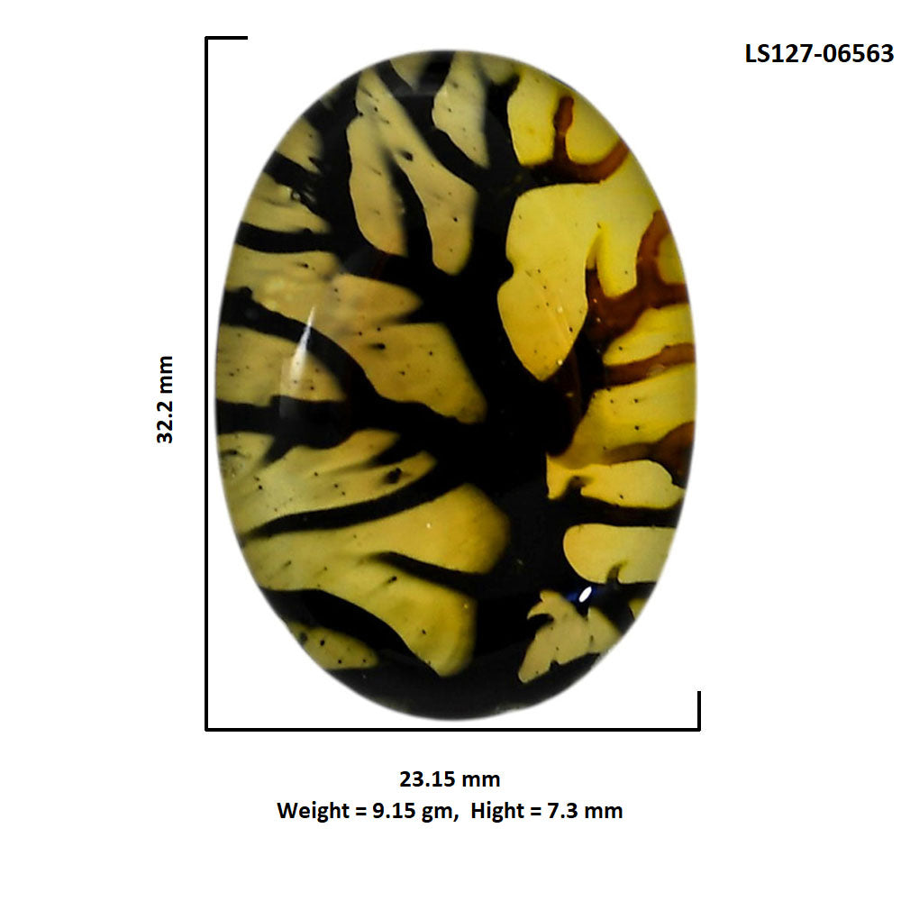 Dendritic Agate Doublet 23.15x32.2x7.3 mm Oval Shape Polished Gemstone LS127-06563