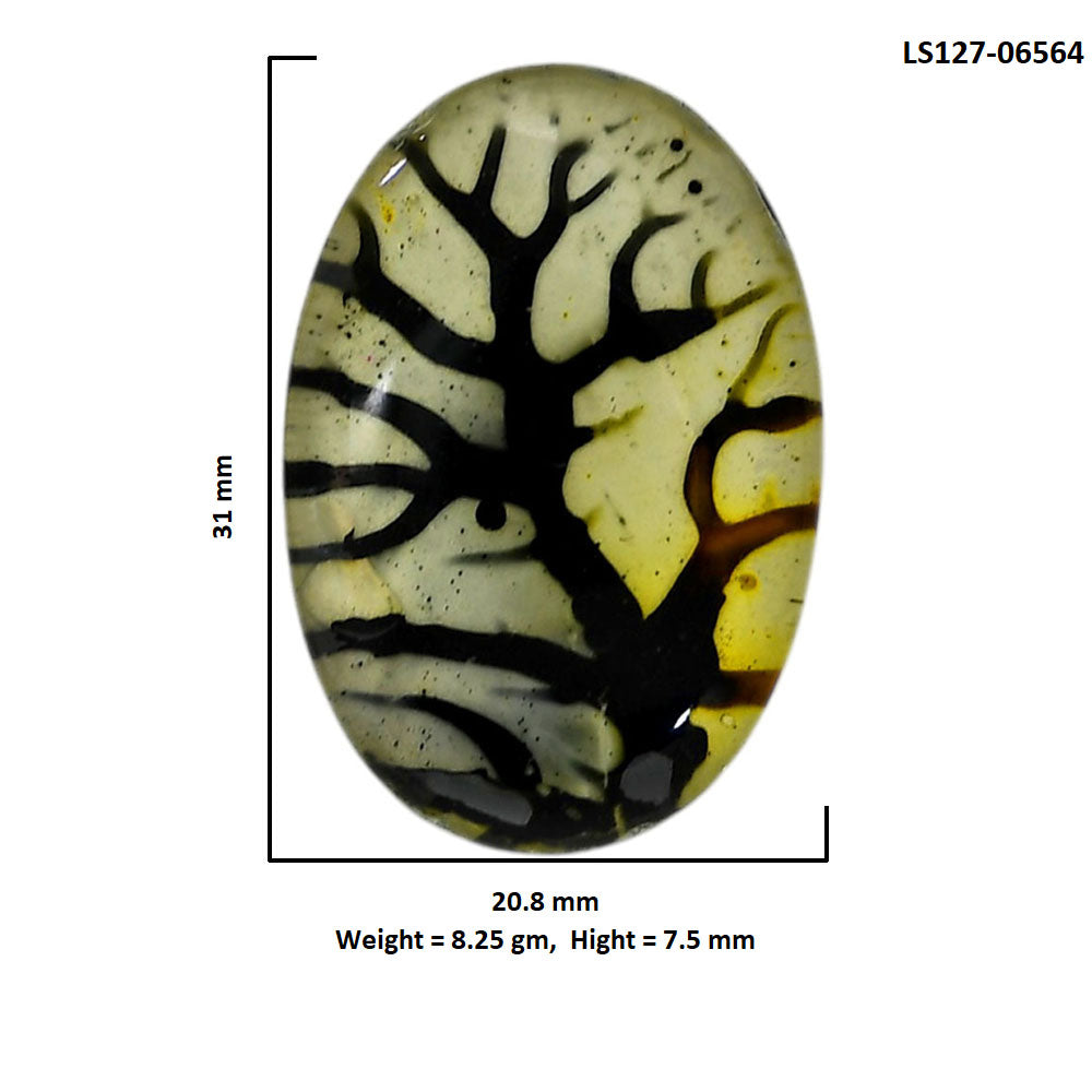Dendritic Agate Doublet 20.8x31x7.5 mm Oval Shape Polished Gemstone LS127-06564
