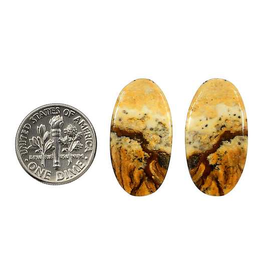 Picture Jasper Pair 13.6x25.6x4 mm Oval Shape Polished Gemstone LS130-06670
