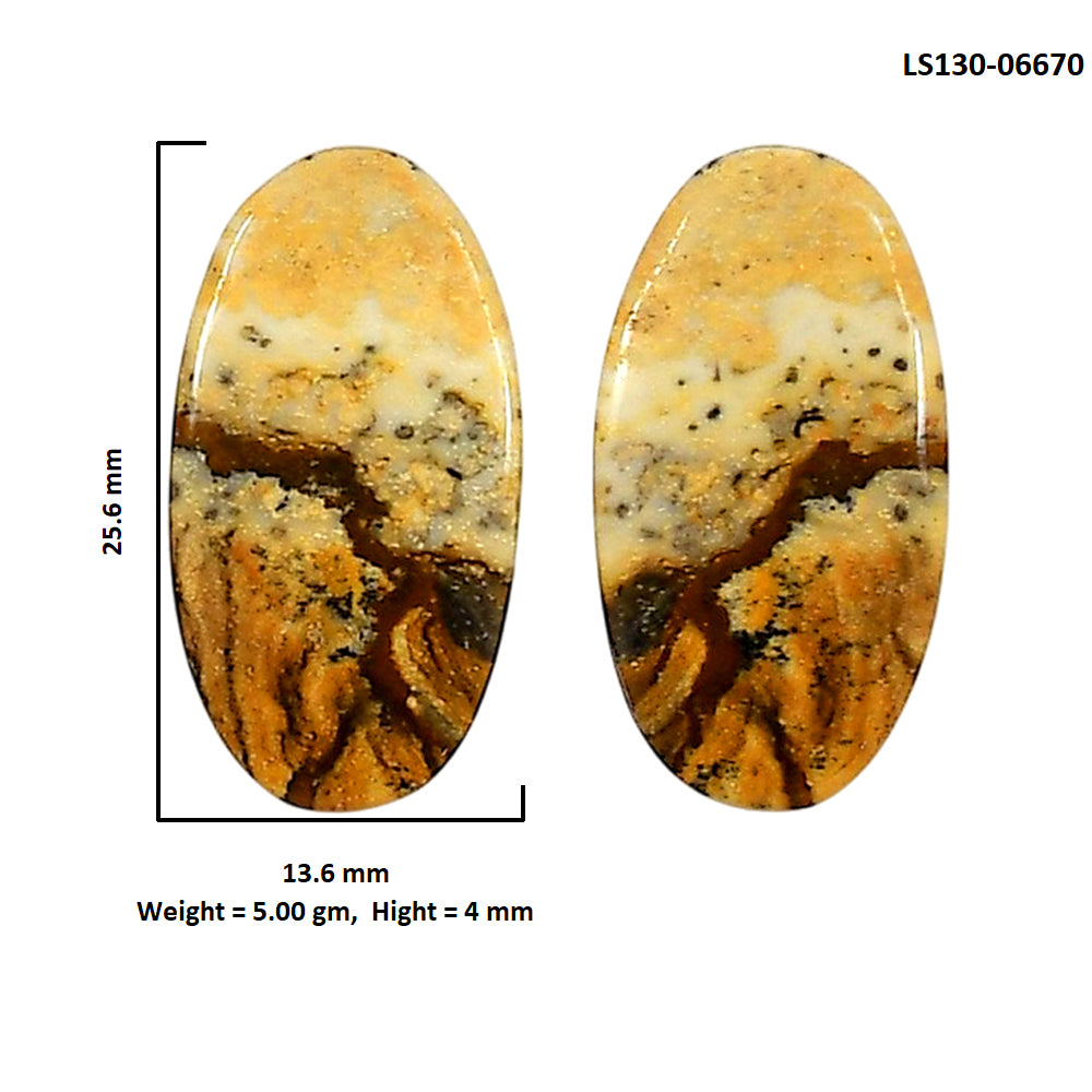 Picture Jasper Pair 13.6x25.6x4 mm Oval Shape Polished Gemstone LS130-06670