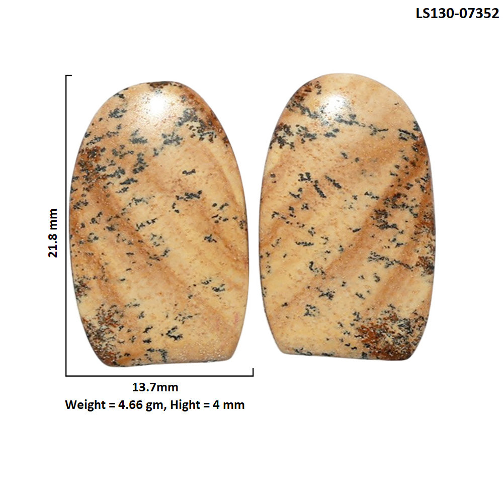 Picture Jasper Pair 13.7x21.8x4 mm Fancy Shape Polished Gemstone LS130-07352