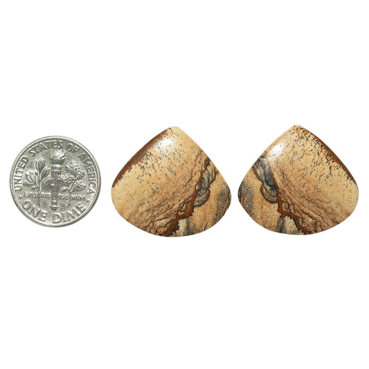 Picture Jasper Pair 21.3x23.3x4 mm Heart Shape Polished Gemstone LS130-07370