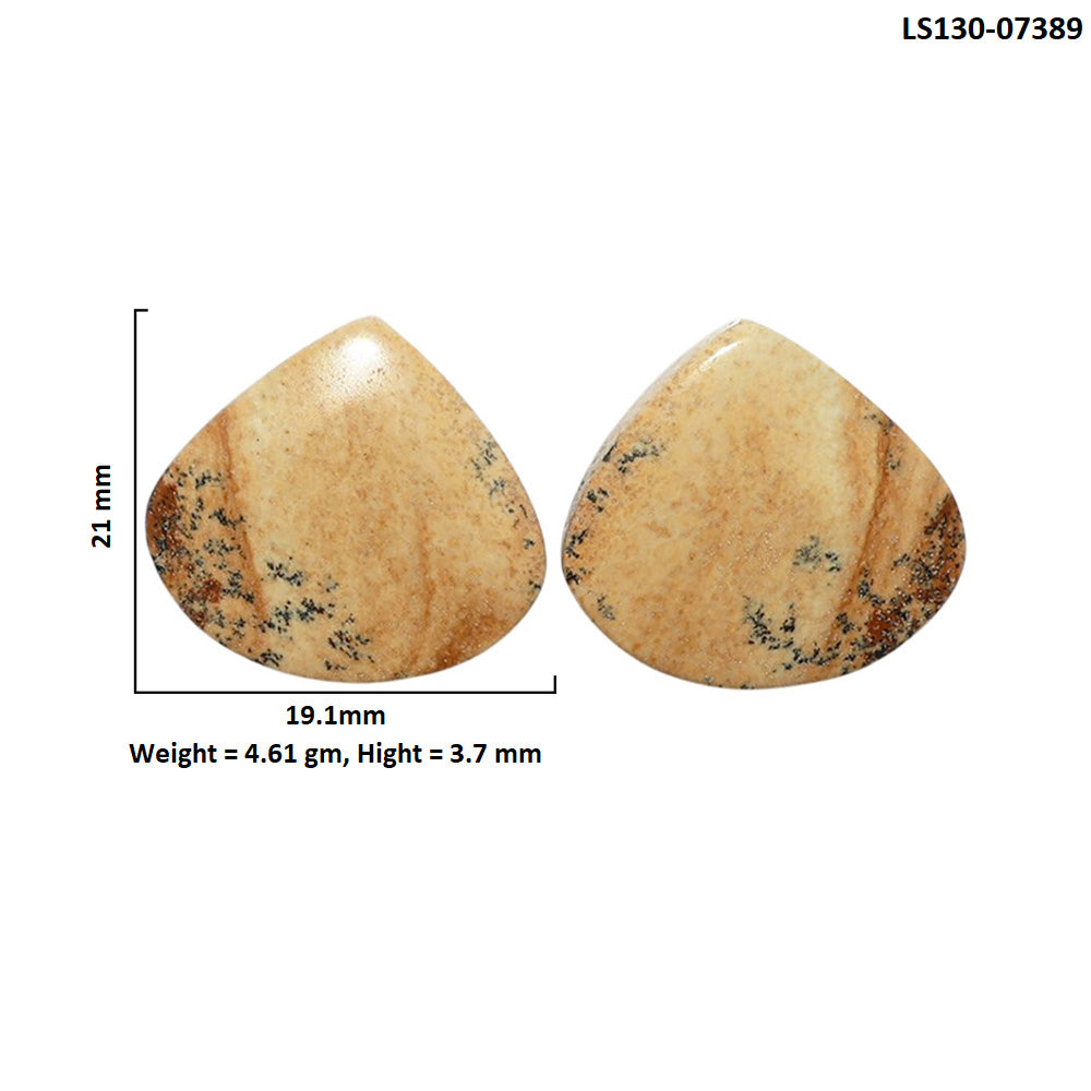 Picture Jasper Pair 19.1x21x3.7 mm Heart Shape Polished Gemstone LS130-07389