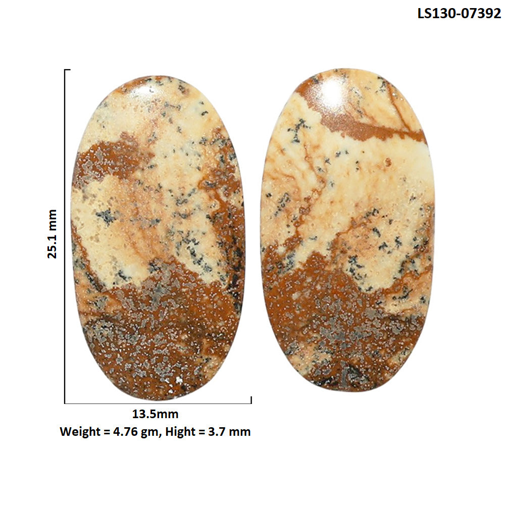Picture Jasper Pair 13.5x25.1x3.7 mm Oval Shape Polished Gemstone LS130-07392