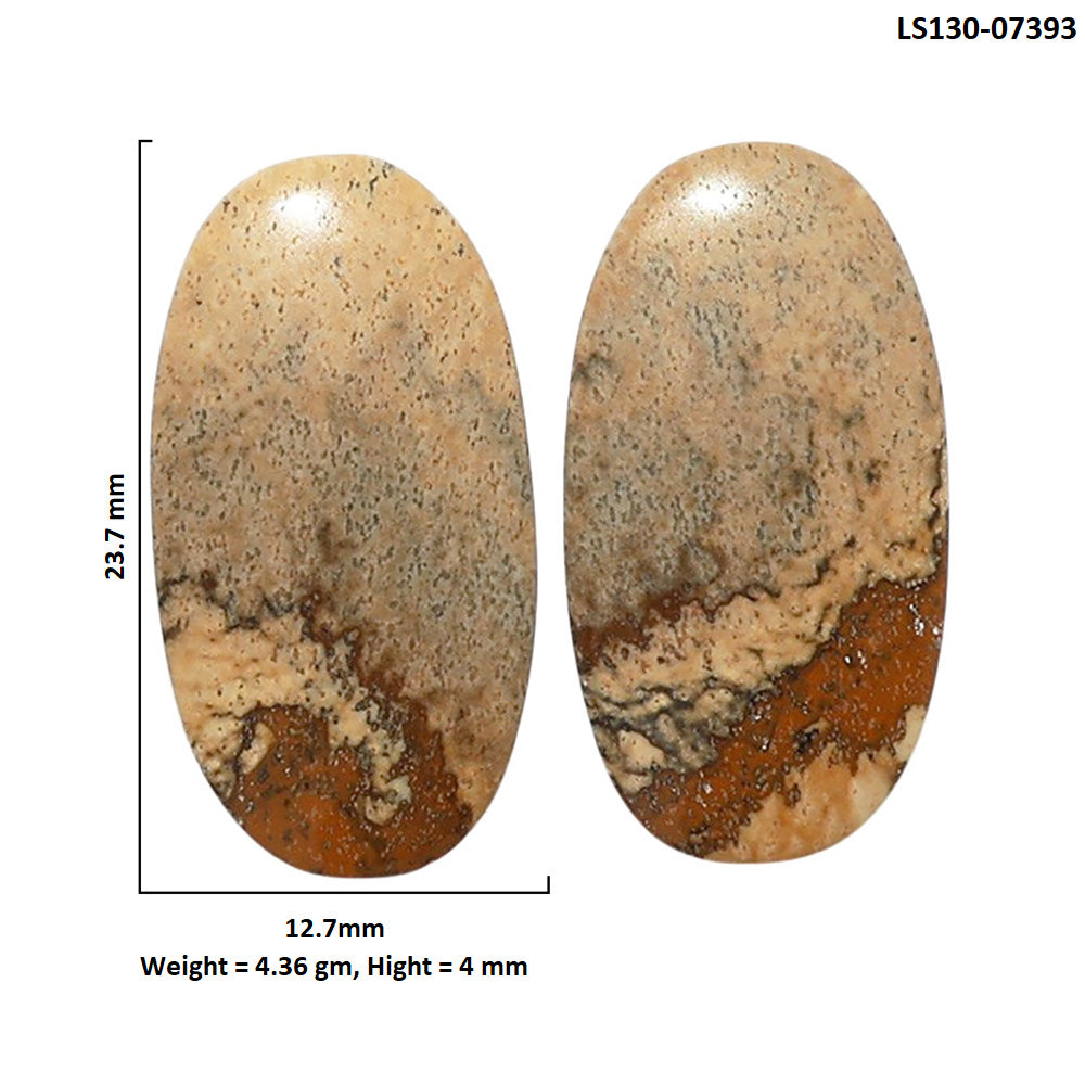 Picture Jasper Pair 12.7x23.7x4 mm Oval Shape Polished Gemstone LS130-07393