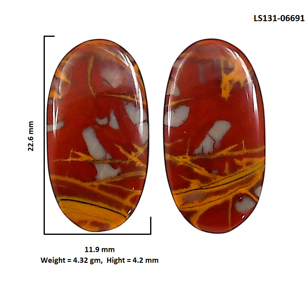 Noreena Jasper Pair 11.9x22.6x4.2 mm Oval Shape Polished Gemstone LS131-06691