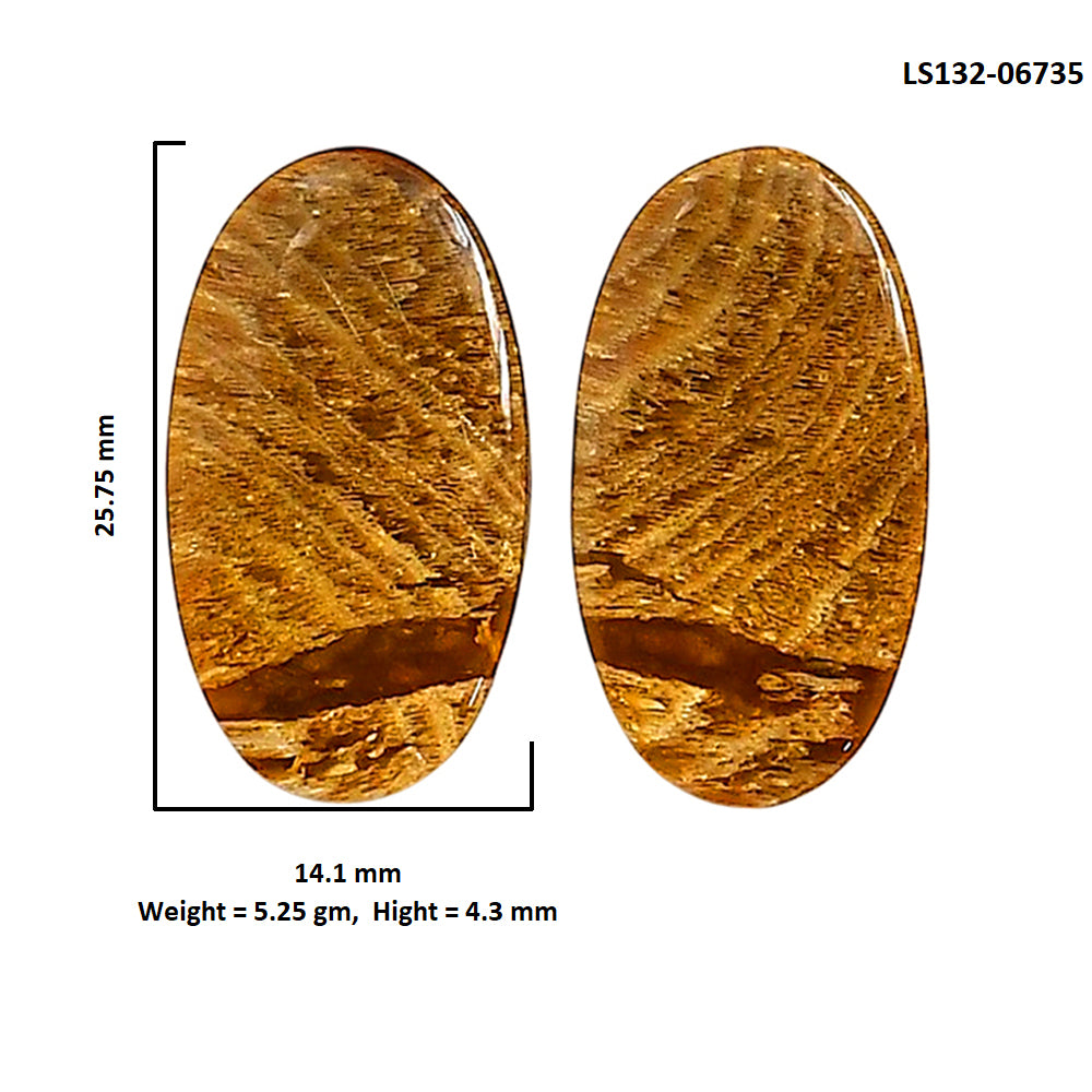 Plume Agate Pair 14.1x25.75x4.3 mm Oval Shape Polished Gemstone LS132-06735