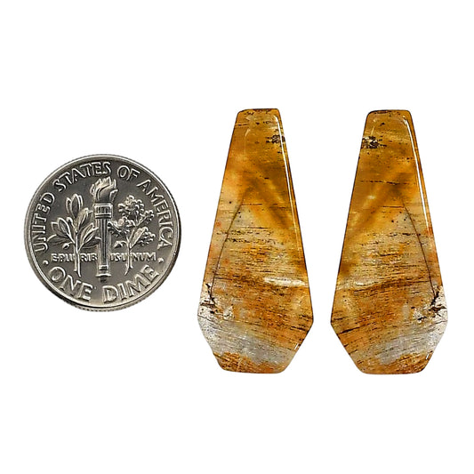 Plume Agate Pair 13.3x29.8x4.4 mm Fancy Shape Polished Gemstone LS132-06740