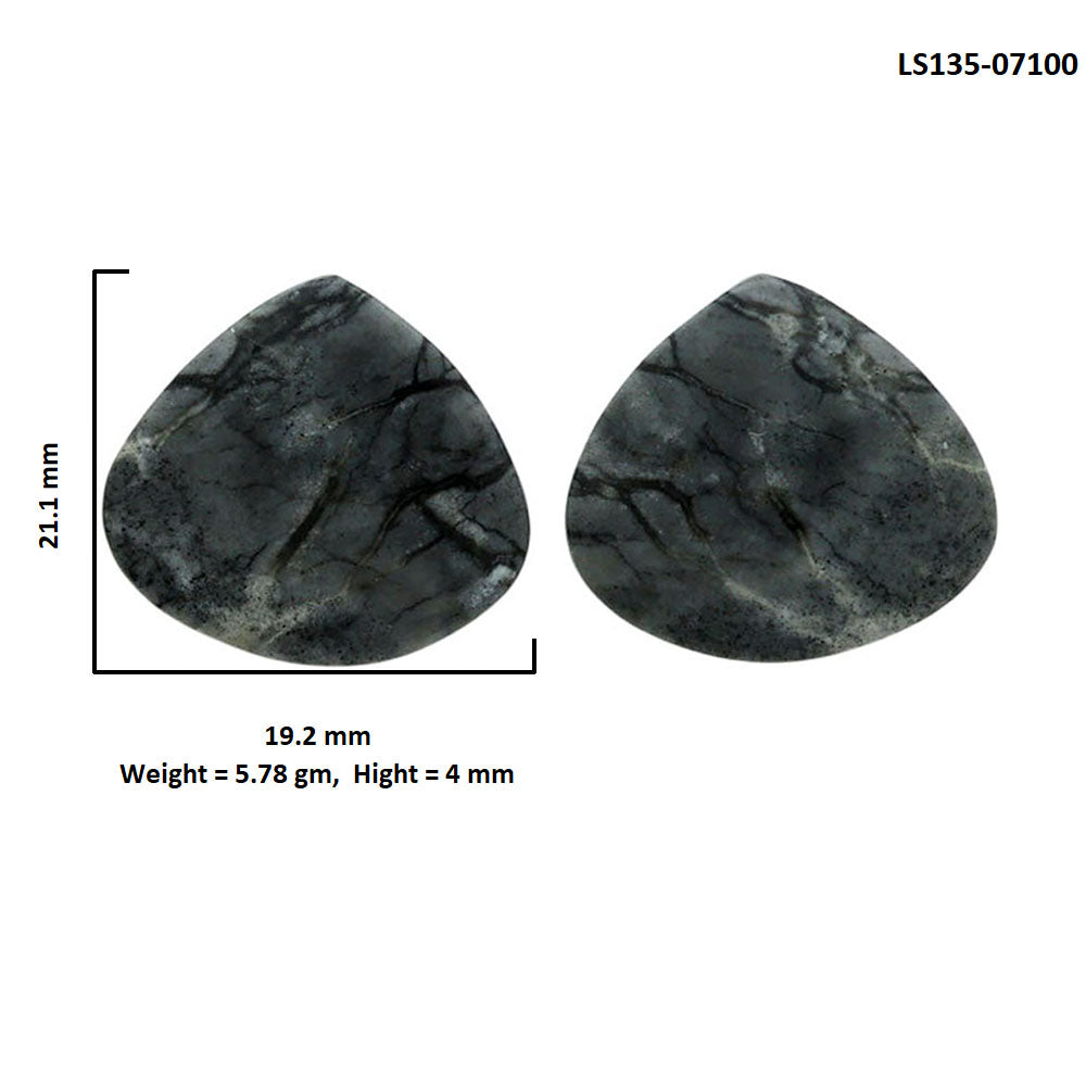 Picasso Jasper Pair 19.2x21.1x4 mm Heart Shape Polished Gemstone LS135-07100