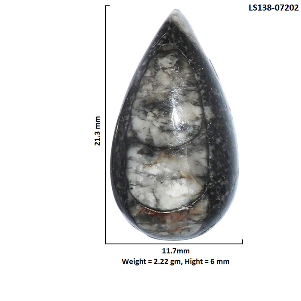 Fossil Orthoceras 11.7x21.3x6 mm Pear Shape Polished Gemstone LS138-07202