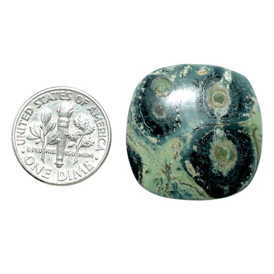 Star Galaxy Jasper 24.4x24.4x4.8 mm Cushion Shape Polished Gemstone LS147-08030