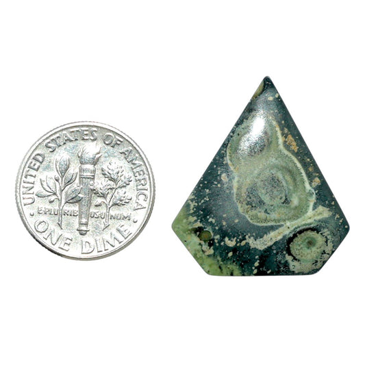 Star Galaxy Jasper 22.9x25.5x3.7 mm Fancy Shape Polished Gemstone LS147-08045