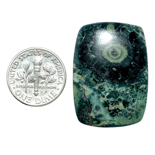 Star Galaxy Jasper 22.75x31.6x4.3 mm Cushion Shape Polished Gemstone LS147-08048