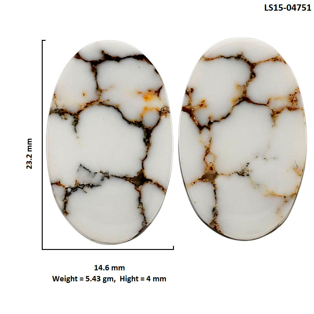Wild Horse Jasper Pair 14.6x23.2x4 mm Oval Shape Polished Gemstone LS15-04751