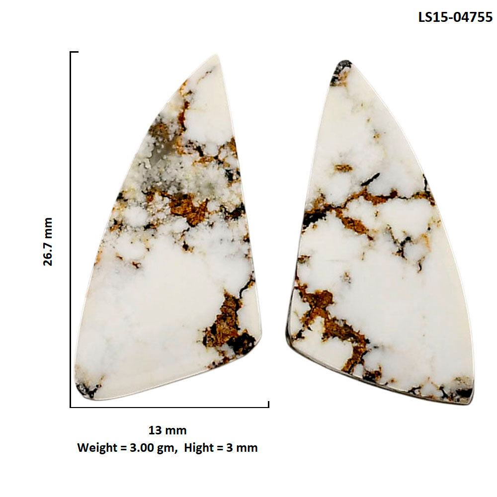Wild Horse Jasper Pair 13x26.7x3 mm Fancy Shape Polished Gemstone LS15-04755