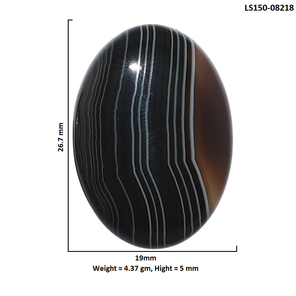 Black Botswana Agate 19x26.7x5 mm Oval Shape Polished Gemstone LS150-08218
