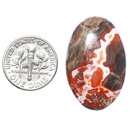 Money Agate 19.5x30.4x5.7 mm Oval Shape Polished Gemstone LS151-08232