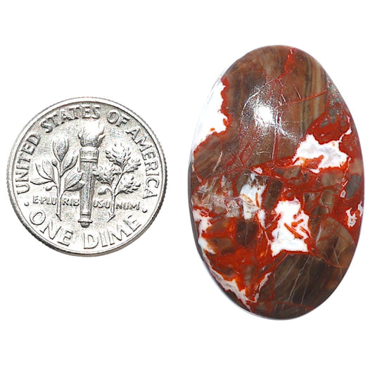 Money Agate 19.2x30.7x6 mm Oval Shape Polished Gemstone LS151-08233