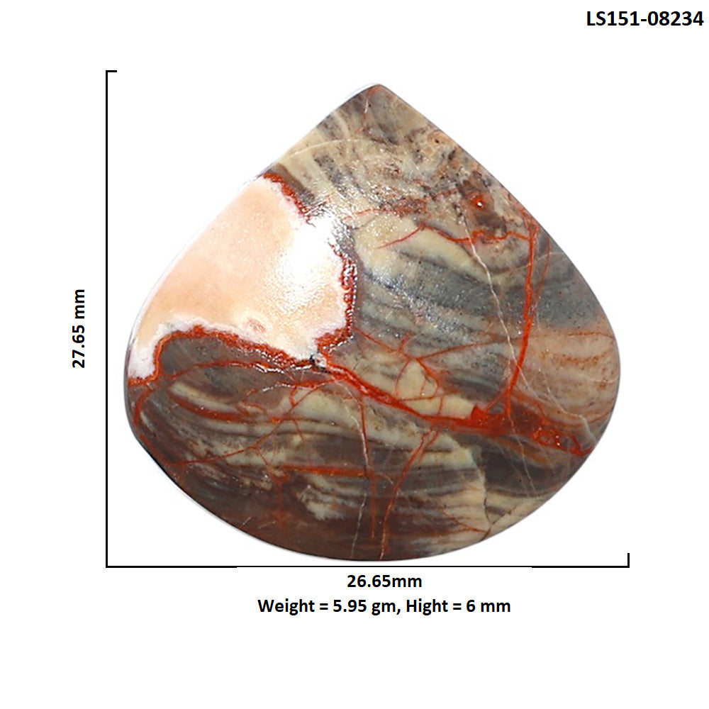 Money Agate 26.65x27.65x6 mm Heart Shape Polished Gemstone LS151-08234