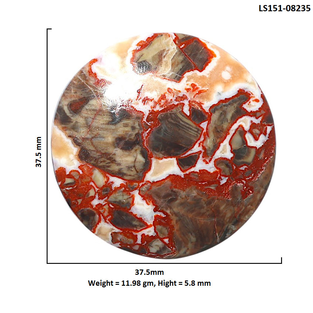 Money Agate 37.5x37.5x5.8 mm Round Shape Polished Gemstone LS151-08235