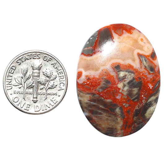 Money Agate 23.25x31.25x5 mm Oval Shape Polished Gemstone LS151-08236