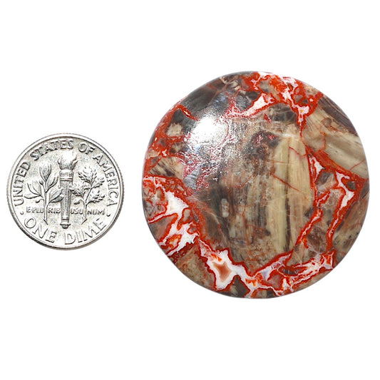 Money Agate 35x35x5.5 mm Round Shape Polished Gemstone LS151-08237