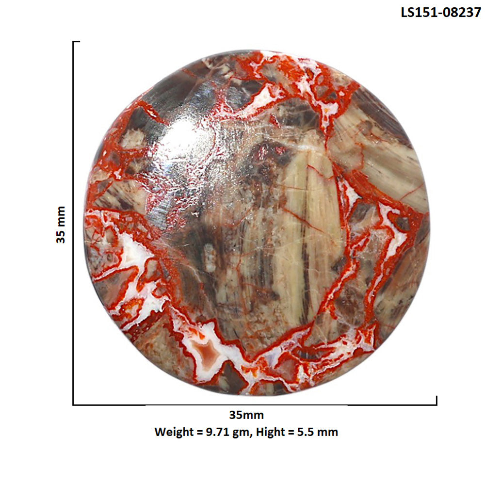 Money Agate 35x35x5.5 mm Round Shape Polished Gemstone LS151-08237