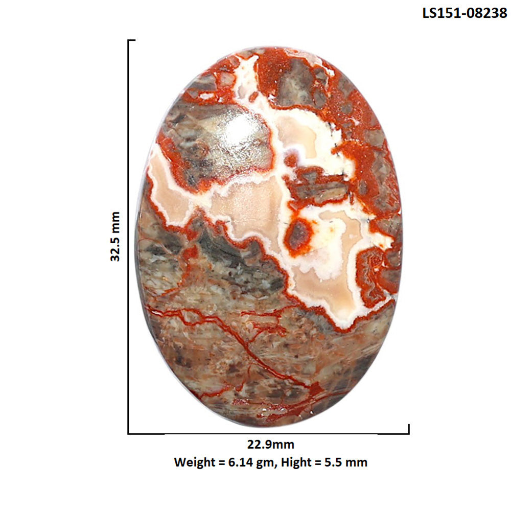 Money Agate 22.9x32.5x5.5 mm Oval Shape Polished Gemstone LS151-08238