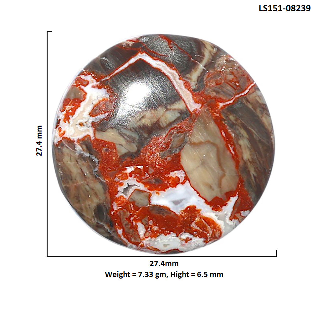 Money Agate 27.4x27.4x6.5 mm Round Shape Polished Gemstone LS151-08239
