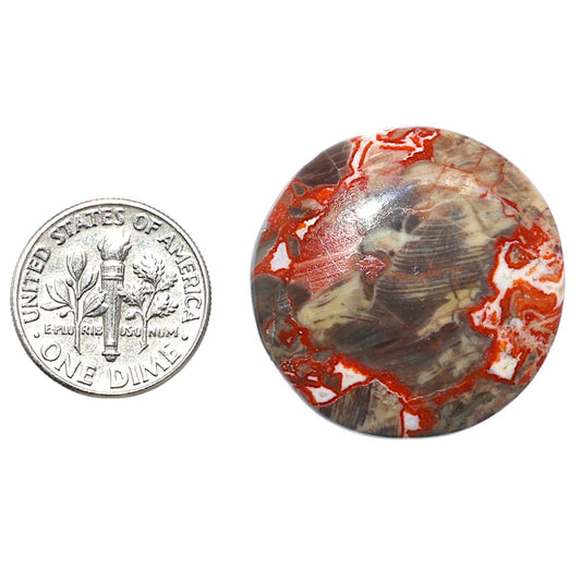 Money Agate 28.2x28.2x6 mm Round Shape Polished Gemstone LS151-08243