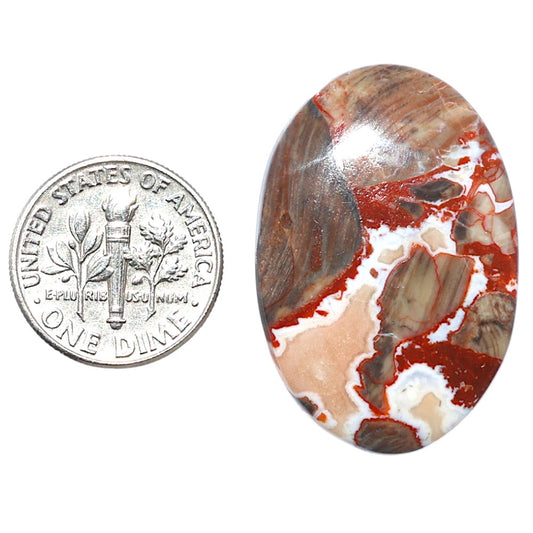 Money Agate 22.1x32.6x5 mm Oval Shape Polished Gemstone LS151-08246
