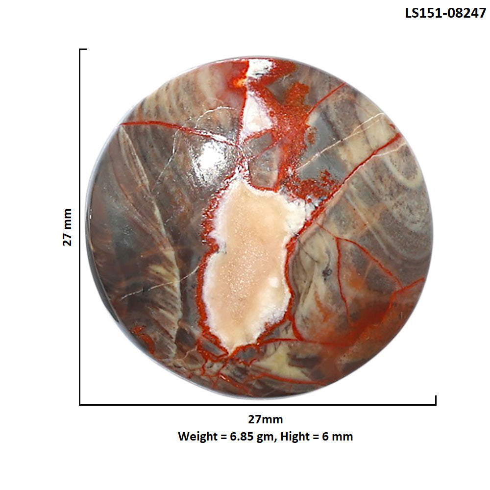 Money Agate 27x27x6 mm Round Shape Polished Gemstone LS151-08247