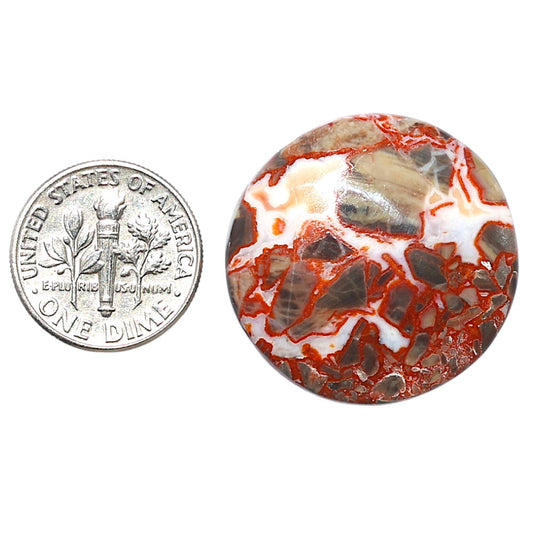 Money Agate 27x27x5.5 mm Round Shape Polished Gemstone LS151-08248
