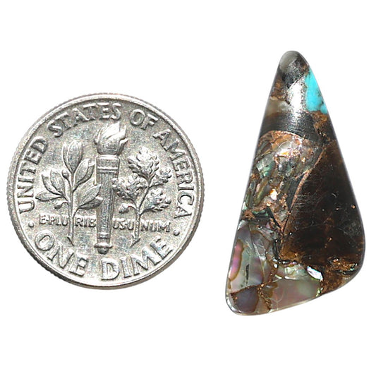 Shell In Black Blue Turquoise 12x24.35x3 mm Fancy Shape Polished Gemstone LS155-08507